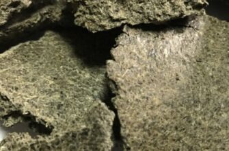 Застосування яблучної макухи: практичні поради для використання в побуті