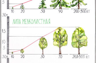 Види озеленення: які існують та як обрати ідеальне для вашого двору