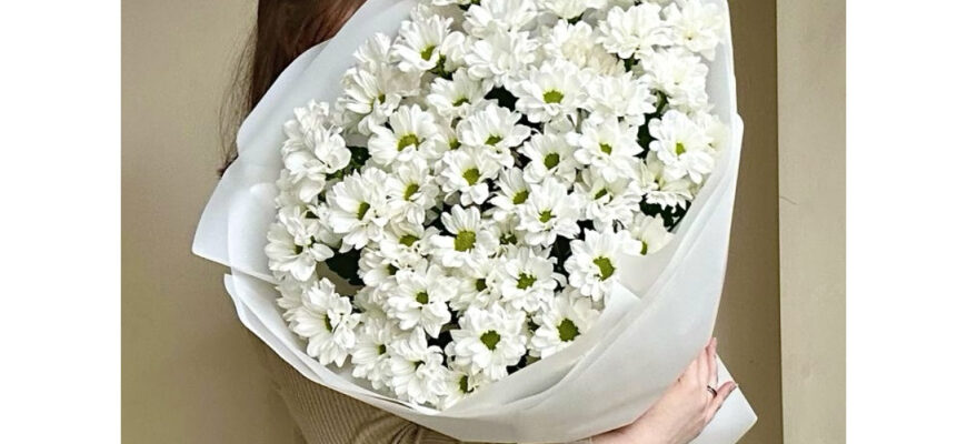 Як ефективно оживити хризантеми: топ способів реанімації рослин