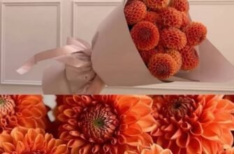 Жоржини в букеті: як використати сезонну фактуру